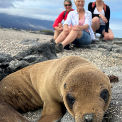 Travellers exploring nature and wildlife on a Pura Aventura journey in Latin America.