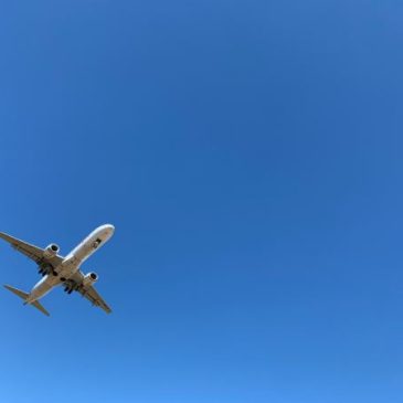 Flying? Or Staycation?