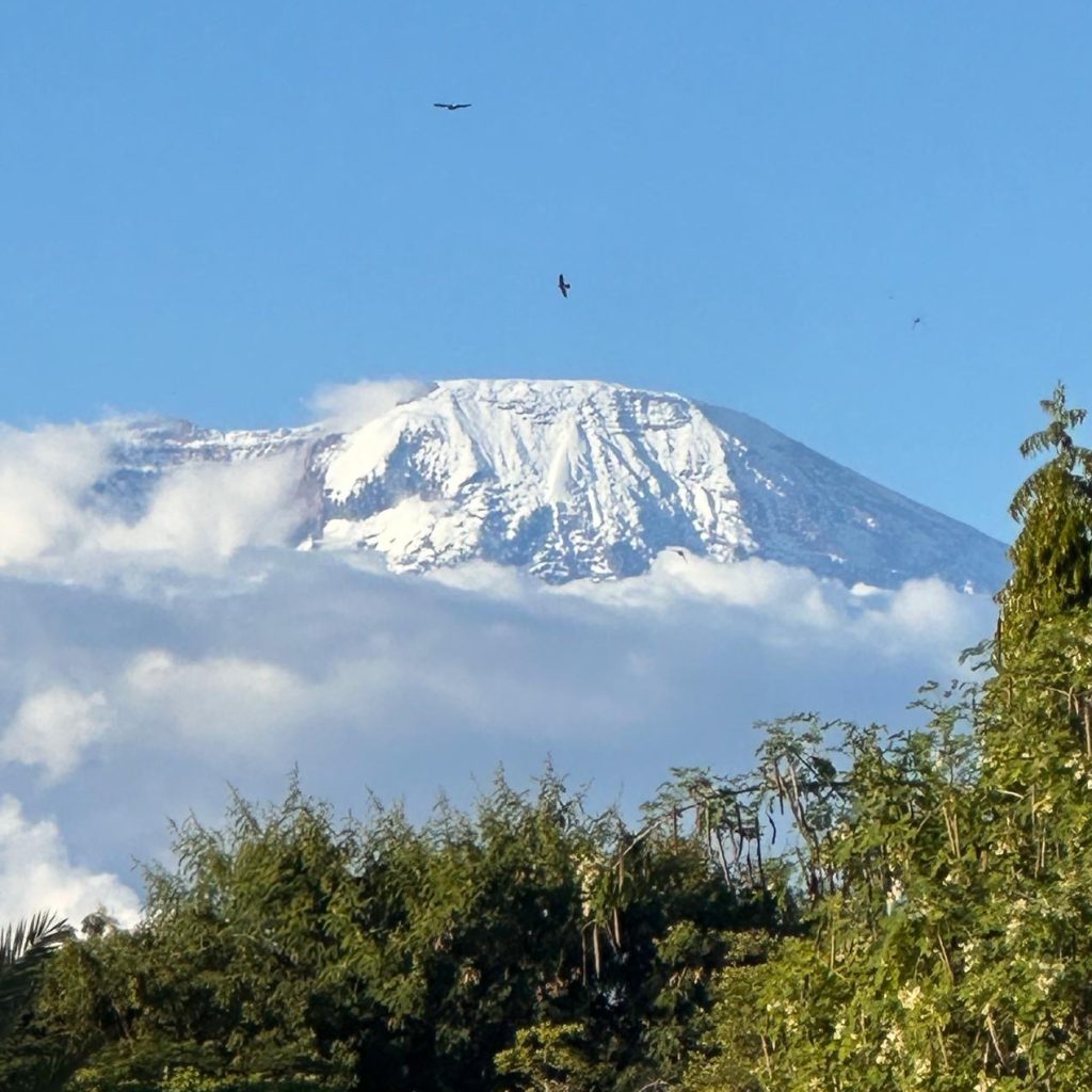 Mount Kilimanjaro viewed above the clouds in Tanzania